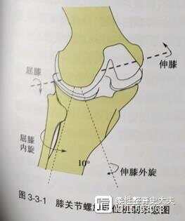 平衡疼痛----膝调节之膝部的力学特点