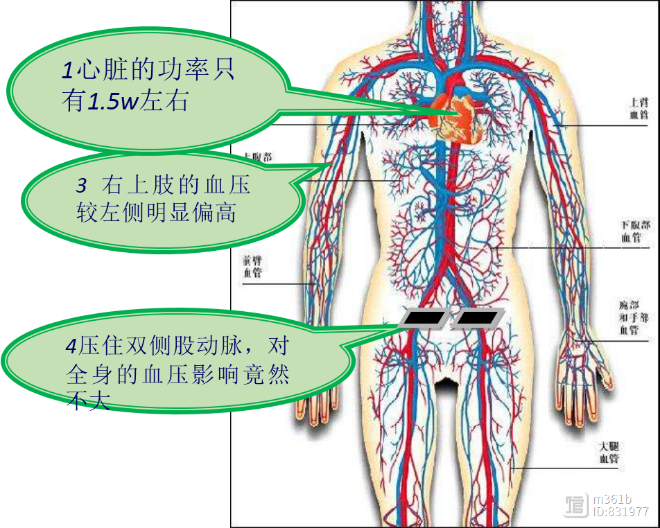 你咋还不信中医-9：为什么会气滞血瘀？